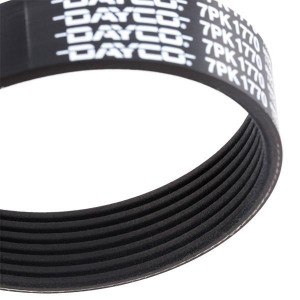 Поликлиновой ремень 7PK1770 DAYCO