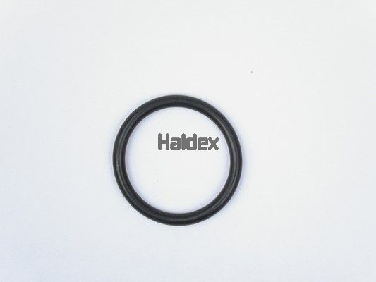 Соединительные элементы, трубопровод сжатого воздуха 024022609 HALDEX