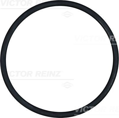 Уплотняющее кольцо 40-76838-00 VICTOR REINZ