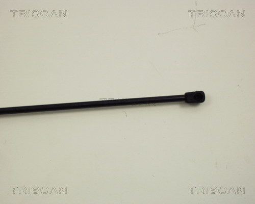 Упругий элемент, крышка багажника / помещения для груза 871023203 TRISCAN