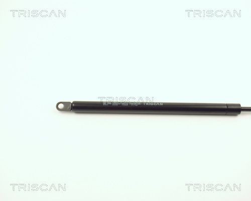 Упругий элемент, крышка багажника / помещения для груза 87106501 TRISCAN