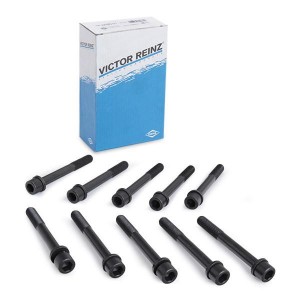 Комплект болтов головки цилидра 14-32160-01 VICTOR REINZ