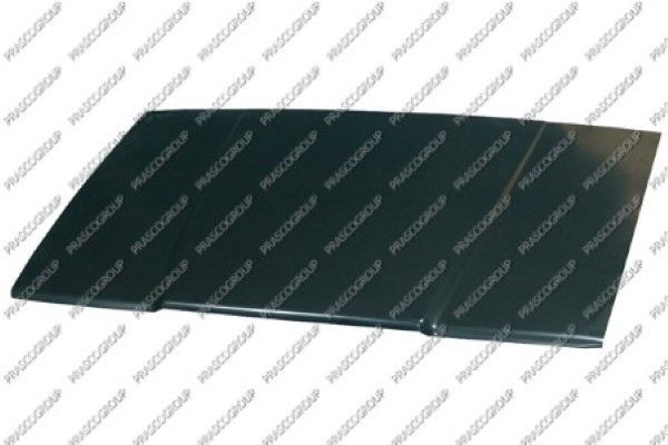 Капот двигателя VV0313100 PRASCO GROUP