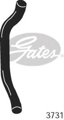 Шланг радиатора 3731 GATES