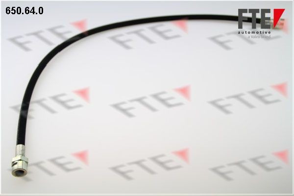 Тормозной шланг 650640 FTE