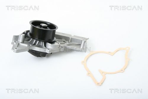 Водяной насос 8600 29039 TRISCAN