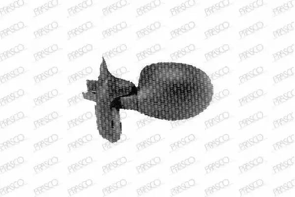 Наружное зеркало RN0257104 PRASCO GROUP