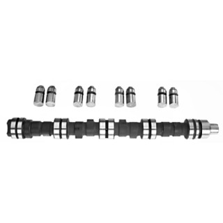 Комплект распредвала 03016 FEBI BILSTEIN