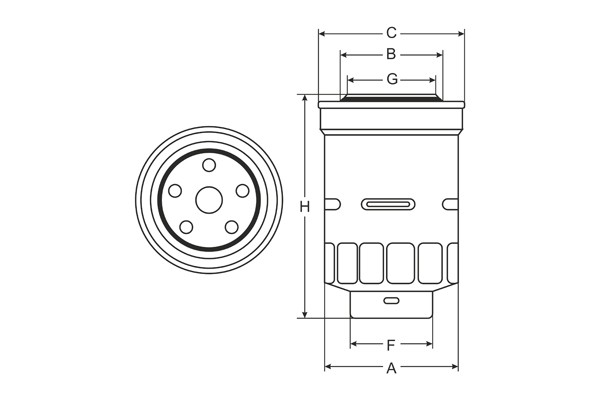 Топливный фильтр ST306 SCT