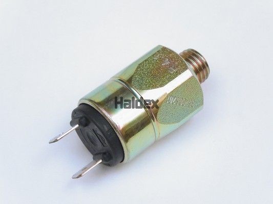 Перепускной клапан 314013003 HALDEX