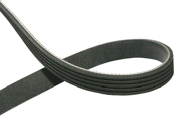 Поликлиновой ремень DMV-1007 KAVO PARTS