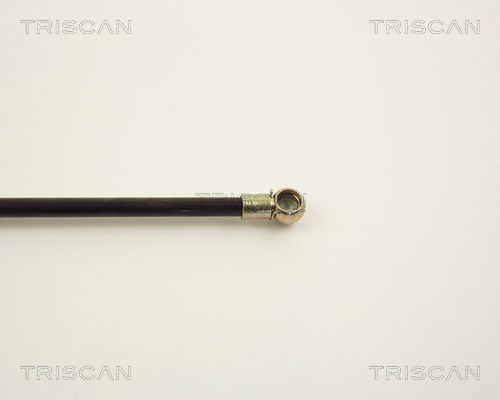 Упругий элемент, крышка багажника / помещения для груза 87102508 TRISCAN