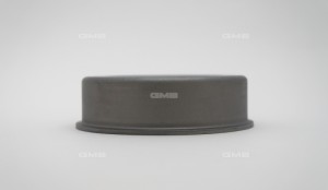 Ролик ремня ГРМ GT10120 GMB