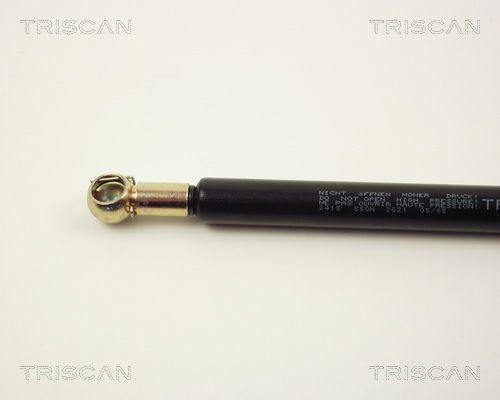 Упругий элемент, крышка багажника / помещения для груза 87102415 TRISCAN