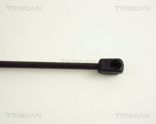Упругий элемент, крышка багажника / помещения для груза 871065202 TRISCAN