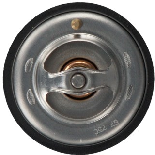 Термостат, охлаждающая жидкость 09675 FEBI BILSTEIN