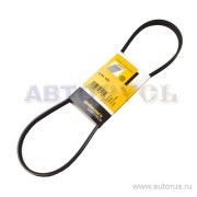 Поликлиновой ремень 4-PK-925 CONTITECH