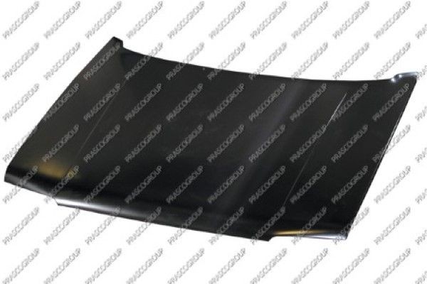 Капот двигателя PG0173100 PRASCO GROUP