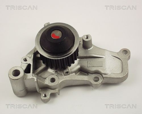 Водяной насос 860042006 TRISCAN