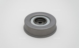 Ролик ремня ГРМ GT10120 GMB