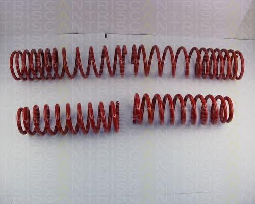 Комплект ходовой части, пружины 875540008 TRISCAN