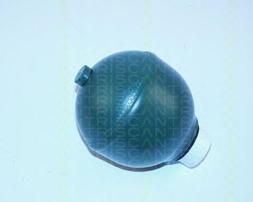 Гидроаккумулятор, подвеска / амортизация 876038204 TRISCAN