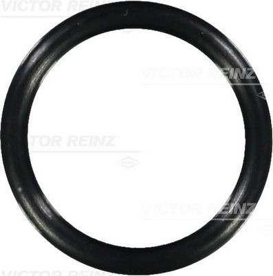 Уплотняющее кольцо 40-76403-00 VICTOR REINZ