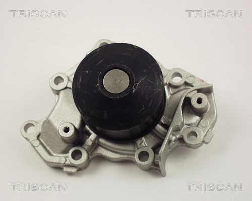 Водяной насос 860042013 TRISCAN