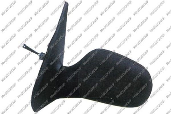 Наружное зеркало RN3207114 PRASCO GROUP
