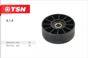Ролик ремня ГРМ 619 TSN