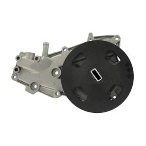 Водяной насос VKPC86217 SKF