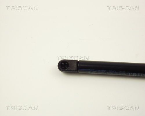 Упругий элемент, крышка багажника / помещения для груза 871012206 TRISCAN