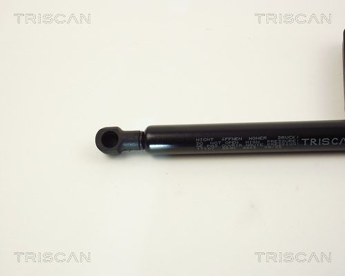 Упругий элемент, капот 8710 11107 TRISCAN