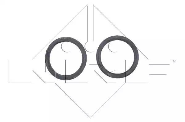 Радиатор, охлаждение двигател 539504 NRF