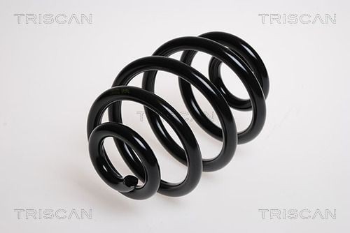 Пружина ходовой части 87501651 TRISCAN