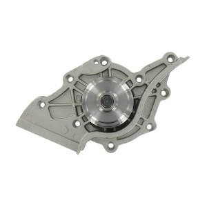 Водяной насос VKPC81807 SKF