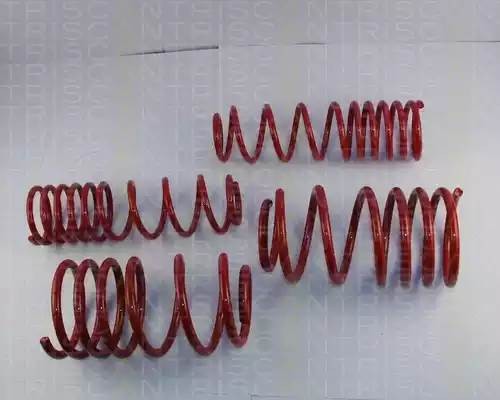 Комплект ходовой части, пружины 875566001 TRISCAN