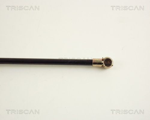 Упругий элемент, крышка багажника / помещения для груза 871020200 TRISCAN