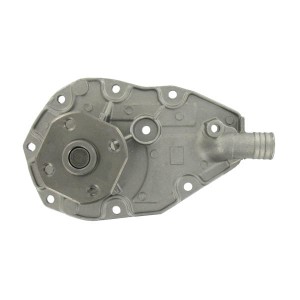 Водяной насос VKPC86203 SKF