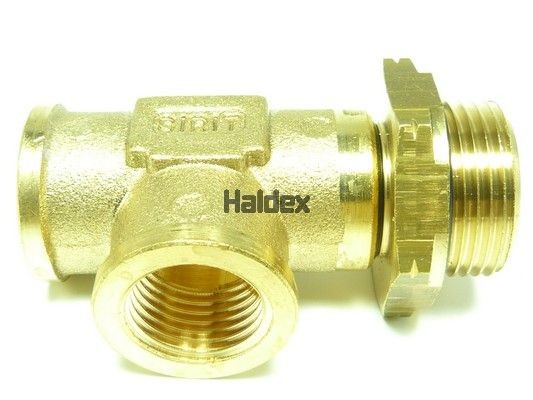 Поршень тормозного цилидра 343031061 HALDEX