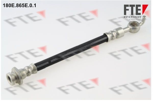 Тормозной шланг 180E865E01 FTE