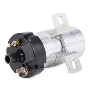 Катушка зажигания ZS124 BERU