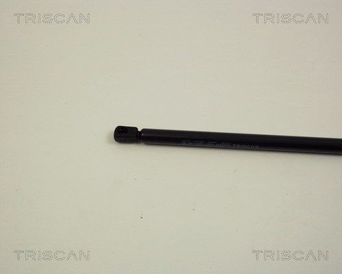 Упругий элемент, капот 8710 29107 TRISCAN