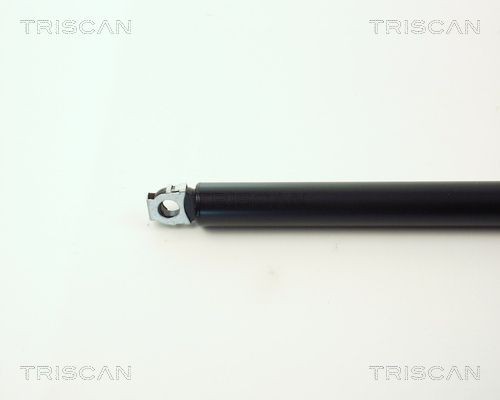 Упругий элемент, крышка багажника / помещения для груза 8710 13254 TRISCAN