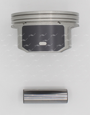 Поршень ДВС PN-53091 AUTOWELT