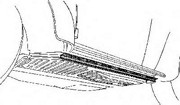 Днище кузова 580109 VAN WEZEL