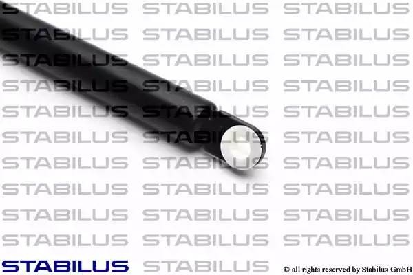 Упругий элемент, крышка багажника / помещения для груза 8913BK STABILUS