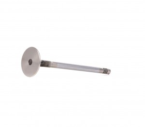 Клапан выпускной R6207/BMCR FRECCIA