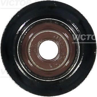 Уплотнительное кольцо, стержень кла 70-36866-00 VICTOR REINZ