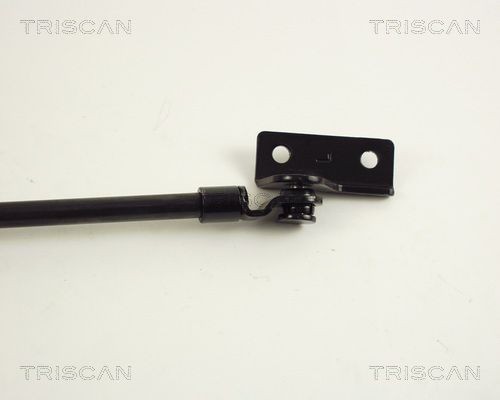 Упругий элемент, крышка багажника / помещения для груза 8710 43206 TRISCAN